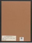 Navicula granulata Breb. (de-Toni-Nr.: Genus 1, Species 460) Zeichnungen Sammlung Grunow Mappe 00407 (Herbarium_W_Grunow_drawings_Folder_00407)